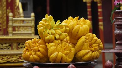 Buddhas Hand, asiat. Zitrusfrucht © imageBROKER / dpa