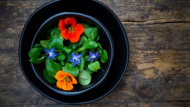 Essbare Blüten auf Teller © Westend61/Larissa Veronesi / dpa