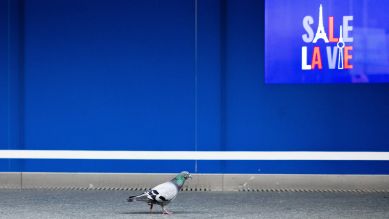 Eine Taube läuft vor einem Werbeschild neben dem Eingangsbereich von dem Kaufhaus Galeries Lafayette in der Friedrichstraße; © 