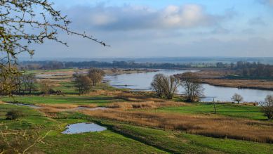 Blick von der "Schönen Aussicht" über die Landschaft am deutsch-polnischen Grenzfluss Oder © Patrick Pleul/picture alliance/dpa