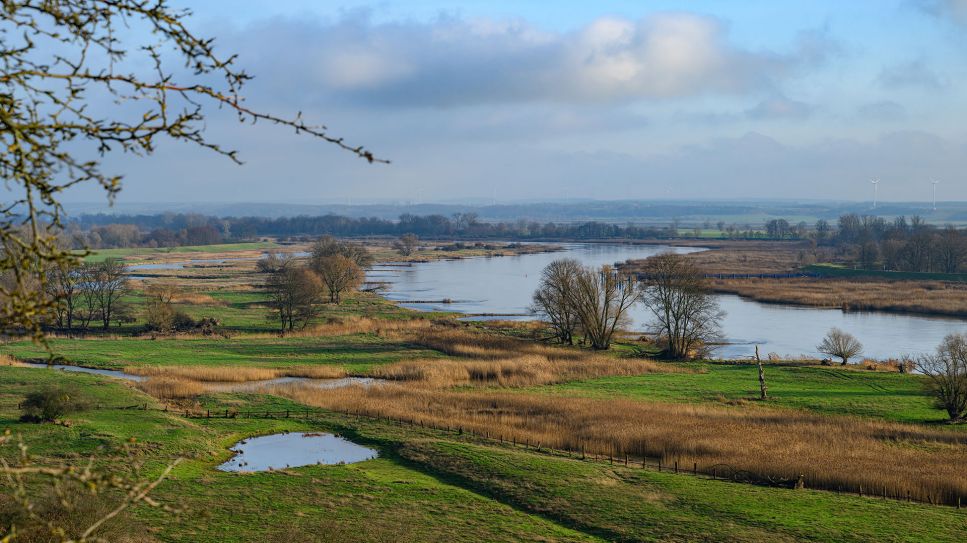 Blick von der "Schönen Aussicht" über die Landschaft am deutsch-polnischen Grenzfluss Oder © Patrick Pleul/picture alliance/dpa