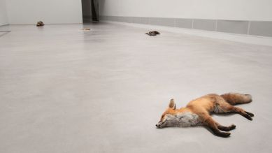 Ausstellungsansicht: "Nasan Tur. Hunted", Berlinische Galerie © VG Bild-Kunst, Bonn 2023 | Foto: Nasan Tur