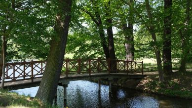 Branitzer Park © Michaela Gericke
