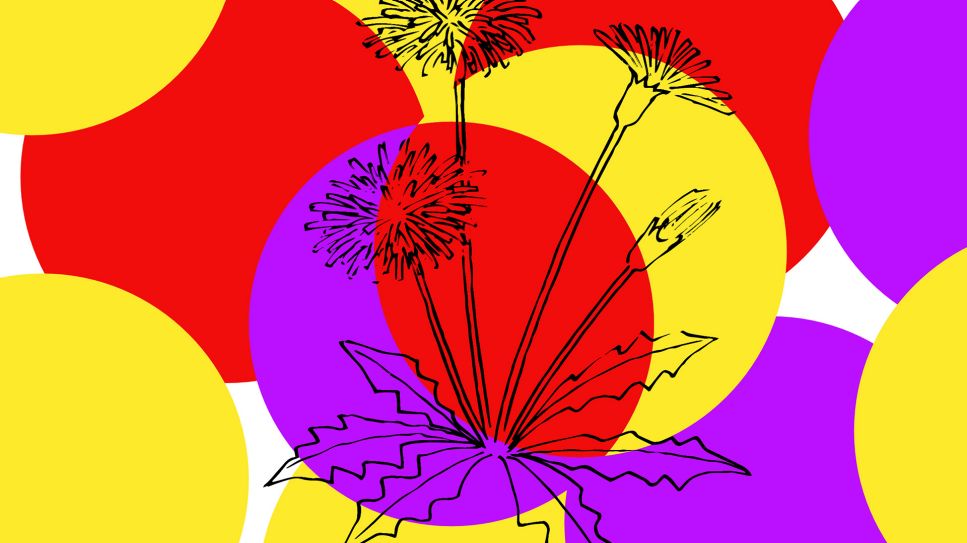 Zukunft Jetzt Festival 2024 – Keyvisual; © kanaltheater.de/Franziska Brose