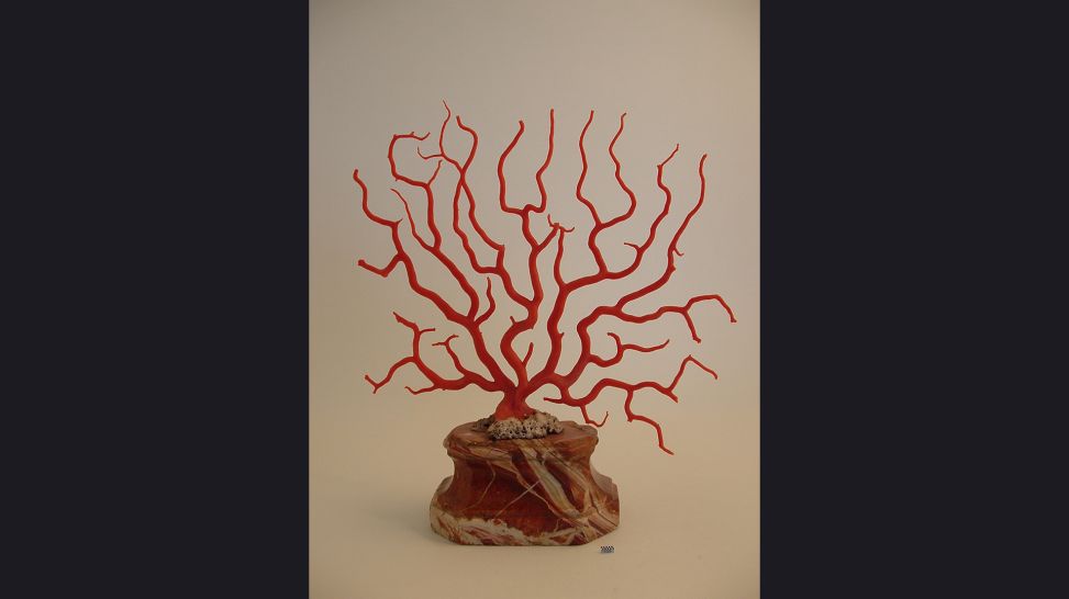 Großer Korallenbaum, 17. Jahrhundert - Rote Edelkoralle (corallium rubrum), Veroneser Marmor, Schwamm © Staatliche Museen zu Berlin, Kunstgewerbemuseum