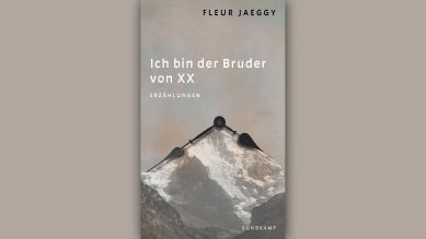 Fleur Jaeggy: Ich bin der Bruder von XX © Suhrkamp