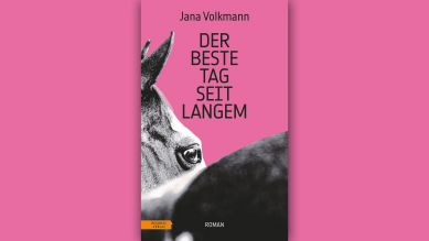 Jana Volkmann: Der beste Tag seit langem © Residenz Verlag