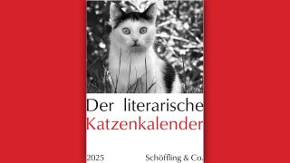 Der literarische Katzenkalender 2025 © Schöffling & Co.