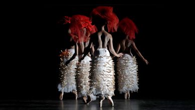 Hatched Ensemble: Mamela Nyamza © Mark Wessels