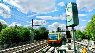 S-Bahn im Tiergarten / rbb/Thomas Zimolong